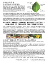116A_PHOTOSYNTHESIS_POSTER_What_Happens_When_We_Artificially_Reduce_the_Amount_of_Direct_Sunlight_Reaching_the_Earth